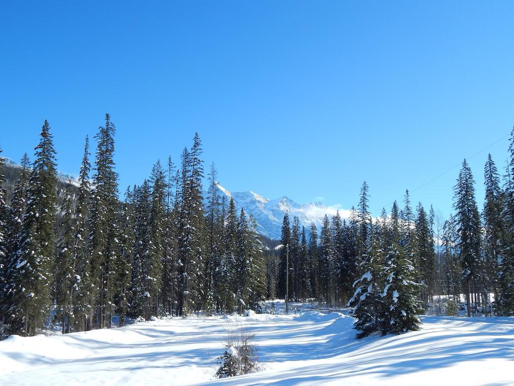 Kicking Horse River Chalets Golden Exterior photo